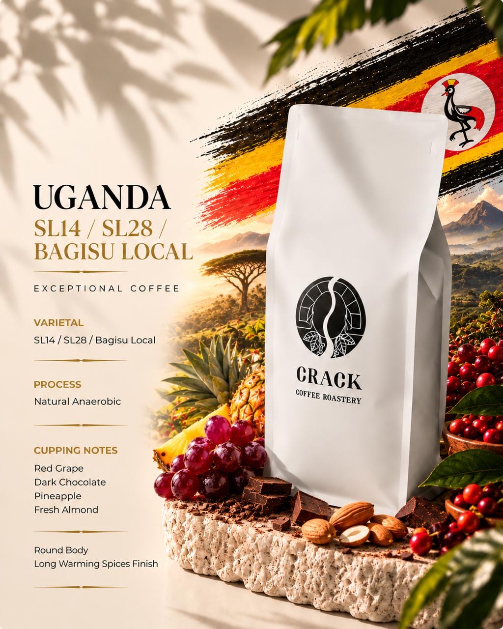 Uganda Natural Anaerobic (Filter)