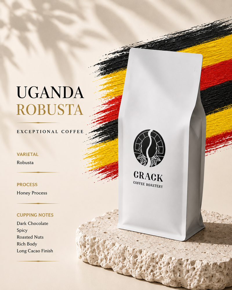 A white bag of Uganda Robusta coffee from Crack Coffee Roastery stands on a textured stone slab. The background is a warm beige with leaf shadows, and a black, yellow, and red brushstroke pattern runs diagonally behind the bag.